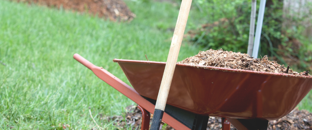Atlanta Landscaping Projects Made Easy with Yard Waste Dumpsters